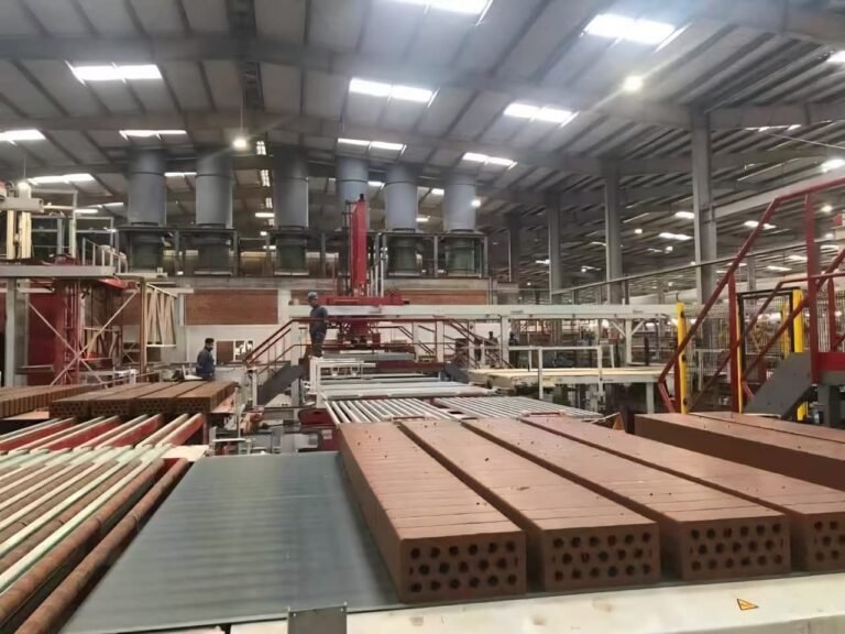Clay brick plant project photo for automatic brick production and kiln system